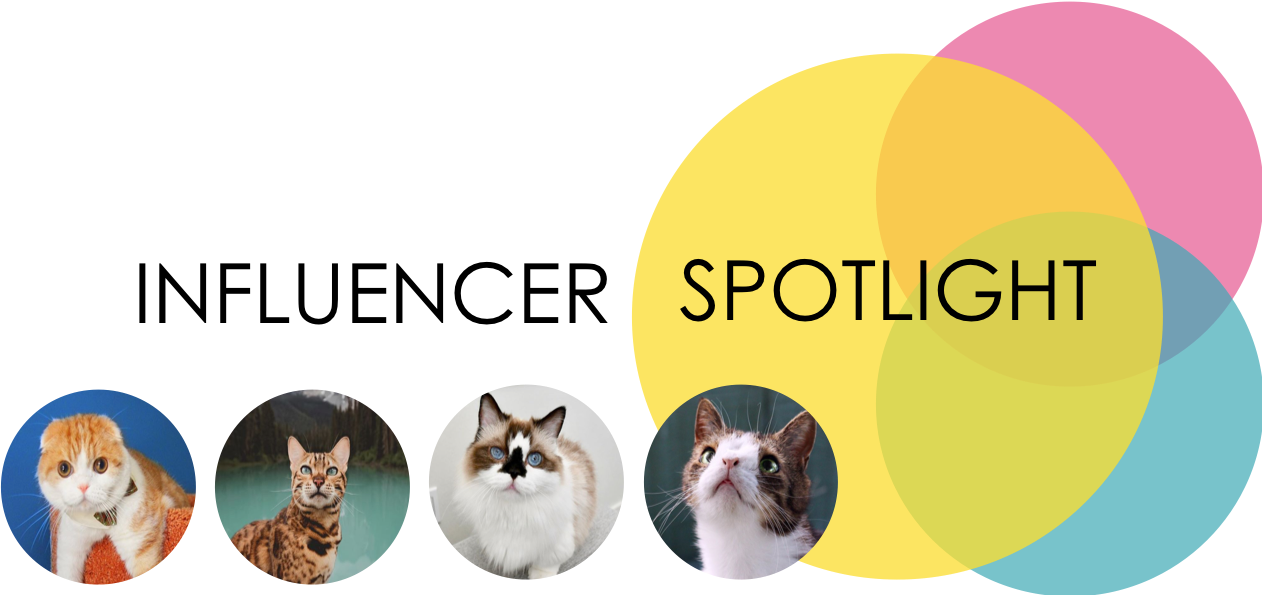 Influencer Spotlight International Cat Day Captiv8