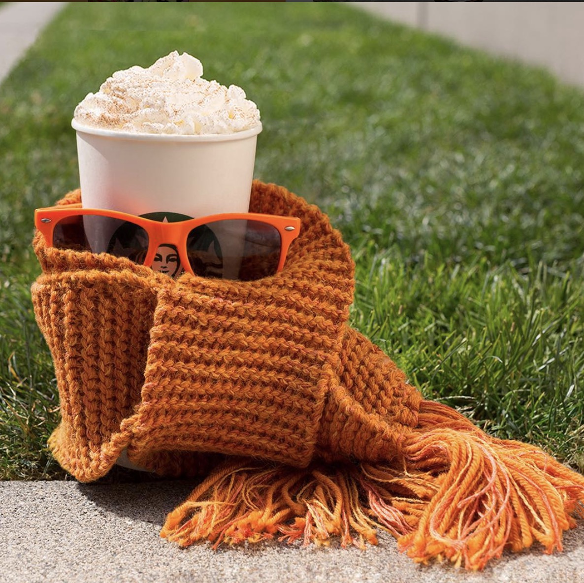 pumpkin spice influencer marketing psl